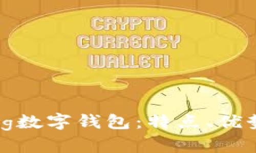 全面解析Bing数字钱包：特点、优势与用户体验