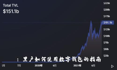 : 黑户如何使用数字钱包的指南
