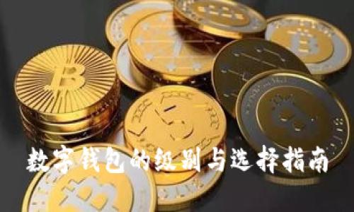 数字钱包的级别与选择指南
