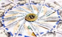 数字钱包9381的全面解析与