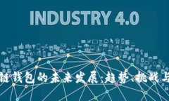 区块链钱包的未来发展：