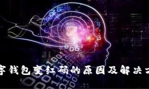 数字钱包变红码的原因及解决方法
