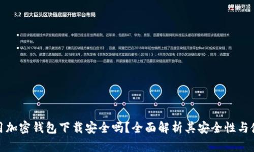 现金应用加密钱包下载安全吗？全面解析其安全性与使用风险