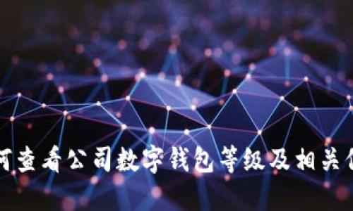 如何查看公司数字钱包等级及相关信息