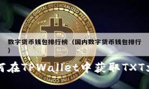 如何在TPWallet中获取TXT文件