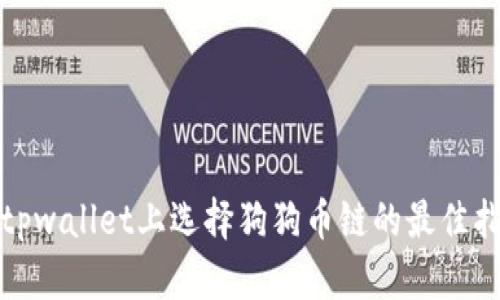 在tpwallet上选择狗狗币链的最佳指南