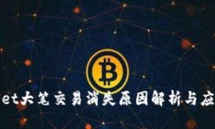 TPWallet大笔交易消失原因解