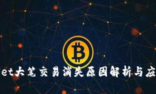 TPWallet大笔交易消失原因解析与应对策略