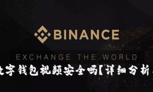 下载数字钱包视频安全吗？详细分析与解答