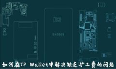 如何在TP Wallet中解决缺乏