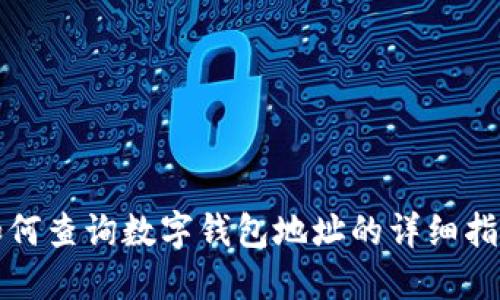 如何查询数字钱包地址的详细指南
