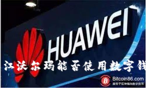 bibati吴江沃尔玛能否使用数字钱包支付？