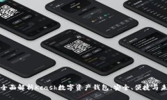 : 全面解析Kcash数字资产钱