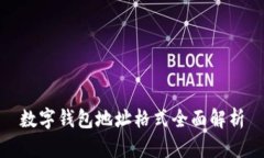 数字钱包地址格式全面解
