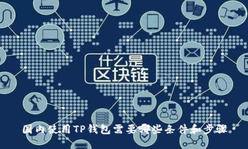 国内使用TP钱包需要哪些条件和步骤