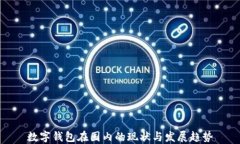 数字钱包在国内的现状与