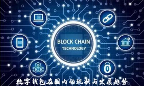 
数字钱包在国内的现状与发展趋势