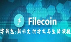 银川数字钱包：新兴支付