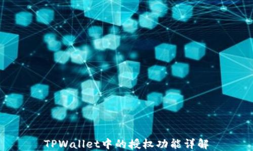 
TPWallet中的授权功能详解