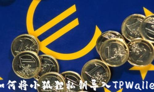 
如何将小狐狸私钥导入TPWallet