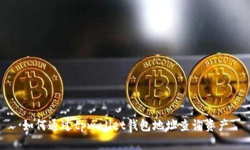如何通过tpwallet钱包地址查询资产