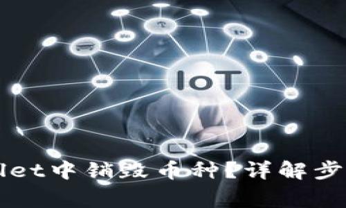 如何在TPWallet中销毁币种？详解步骤及注意事项