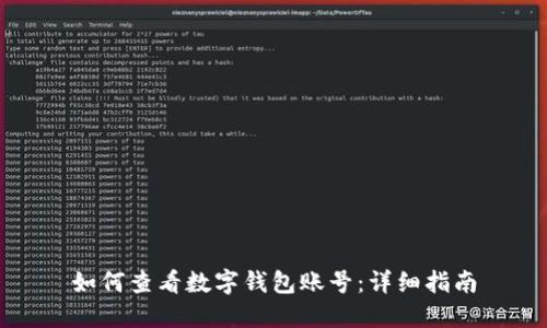 如何查看数字钱包账号：详细指南
