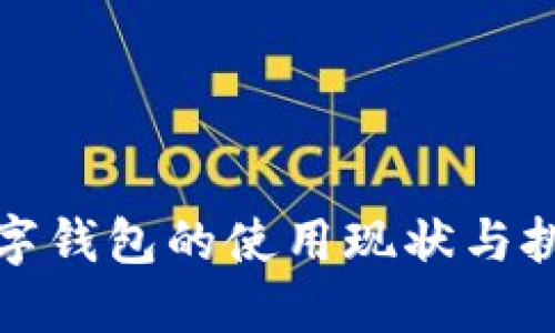 数字钱包的使用现状与挑战