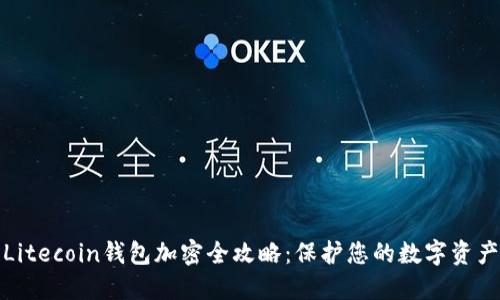 Litecoin钱包加密全攻略：保护您的数字资产