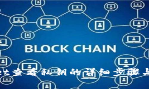 : tpwallet查看私钥的详细步骤与注意事项